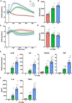 Metformin Suppresses Monocyte Immunometabolic Activation by SARS-CoV-2 Spike Protein Subunit 1